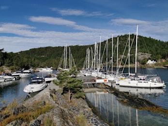 Mange besøkende på Finnøya denne sommeren.